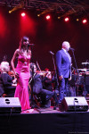 koncert_plenerowy-12-683x1024.jpg